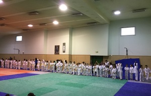 5c028894111cc_image.jpg