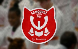 Animation Samouraï